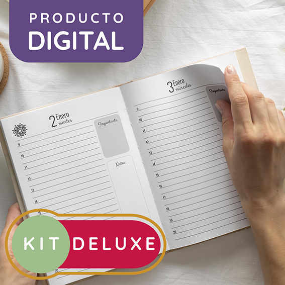 Kit de agendas imprimibles, semanal vertical diaria con horarios, planner y control de gastos